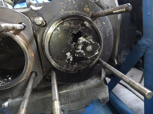 41299871251_450e510aba